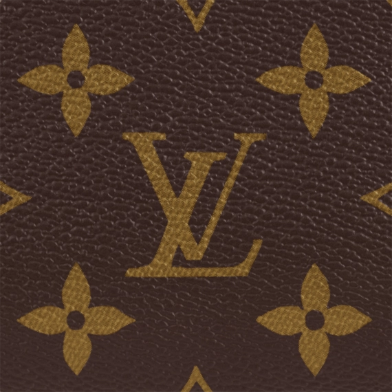 Look Stylish with Louis Vuitton Cite Bag Gold - Women's Fashion Accessory